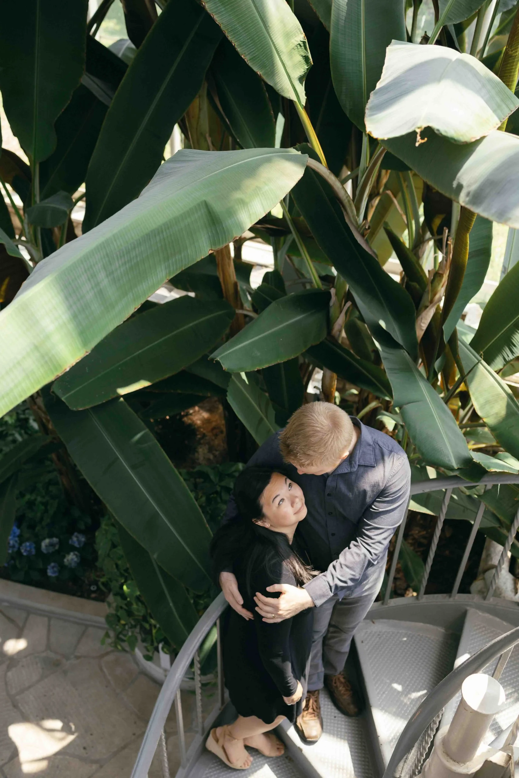 A couple embracing on a spiral staircase in a greenhouse surrounded by tropical plants, shot with a romantic, filmy vibe by Stacey Vandas Photography.