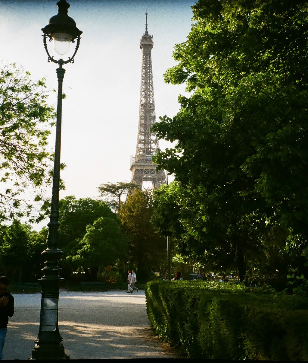 A view of the Eiffel Tower through trees, shot on 35mm film in Paris, France.